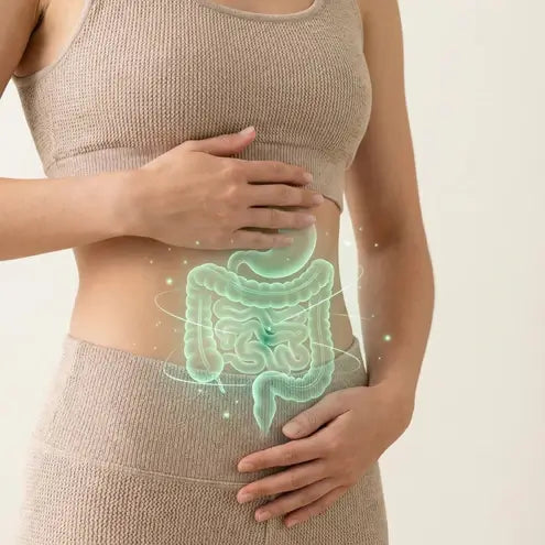 Digestion